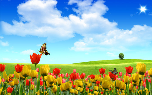 491598 (a): :1920x1200
